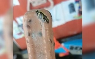 Shocking Discovery in Thai Ice Cream