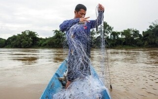 Thailand: Mekong Fishermen Suffer from Falling Fish Prices and Pollution