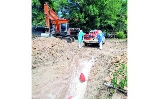 Fourth Anthrax Case Confirmed in Thailand